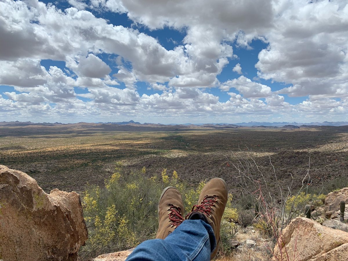 Boots resting on a rock high above a wide saguaro desert basin, palo verde in yellow bloom below and a far range of mountains under a sky of white clouds